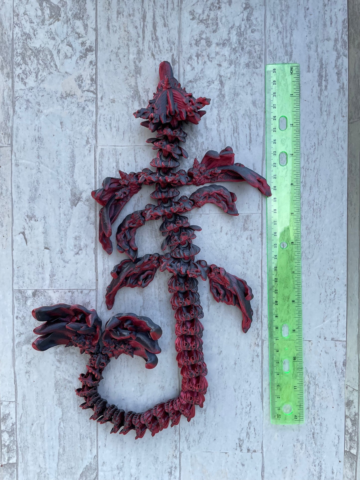 3D Printed Coral Reef Dragon